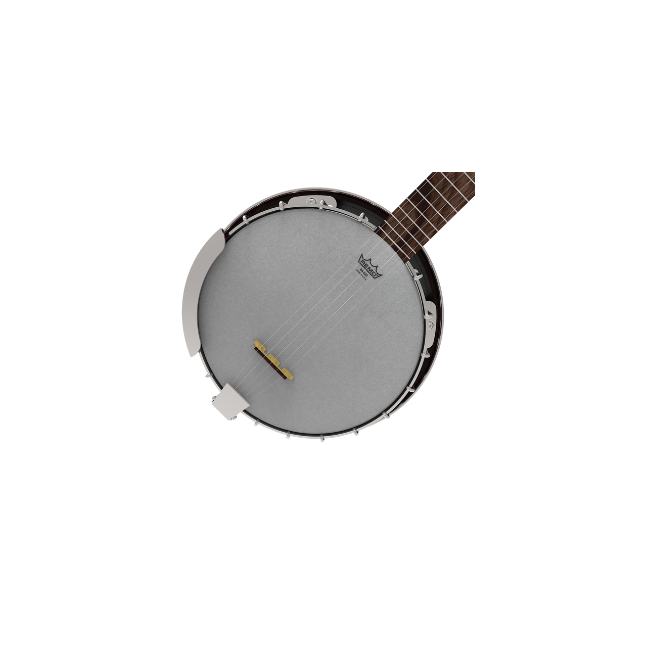 Renaissance banjo head hotsell