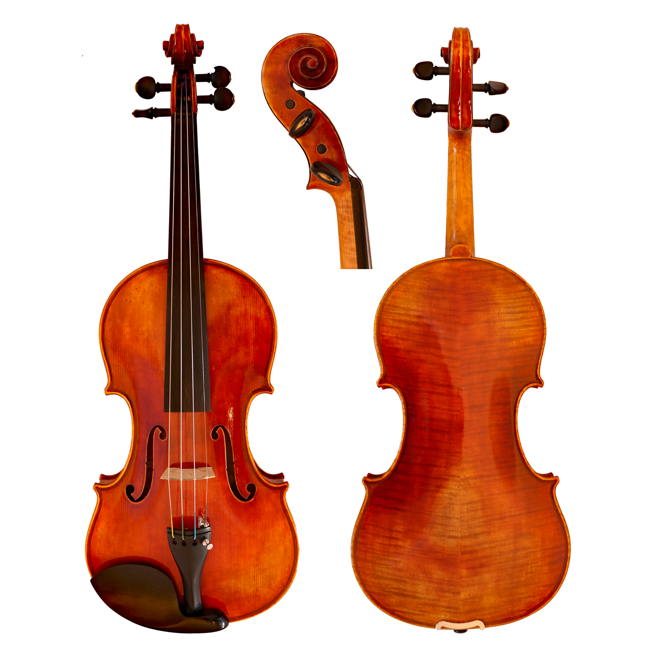 GCV Violine 4/4 Il Cannone 1743 gerichtet
