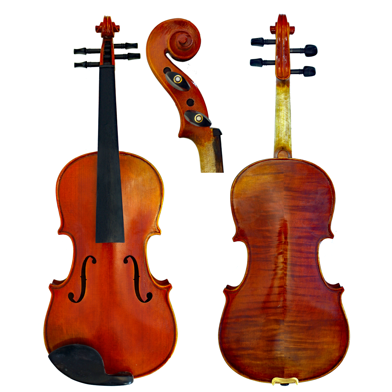 SE Viola 31,0 cm Vieille France