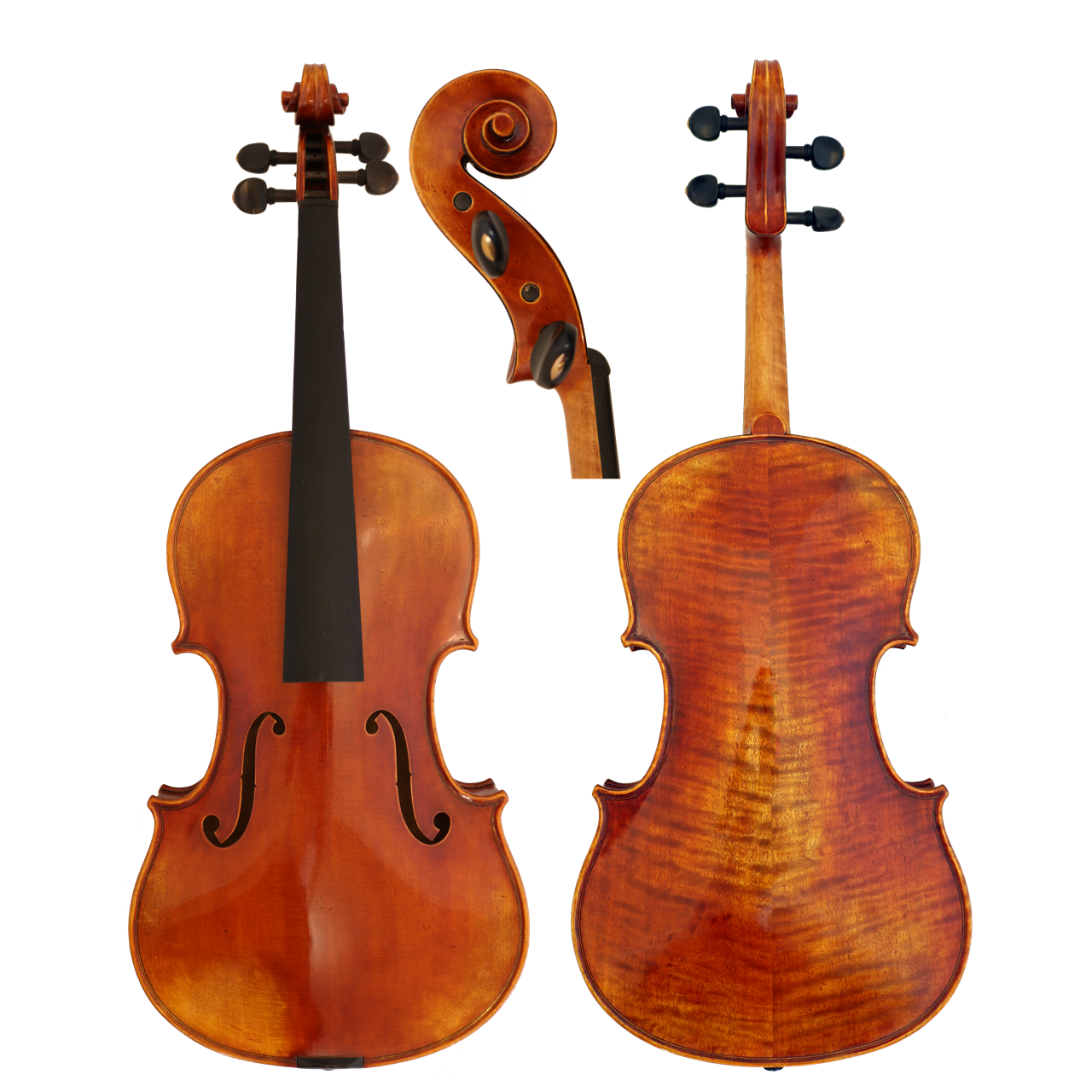 GCV Viola 38,0cm / EU-Decke AA