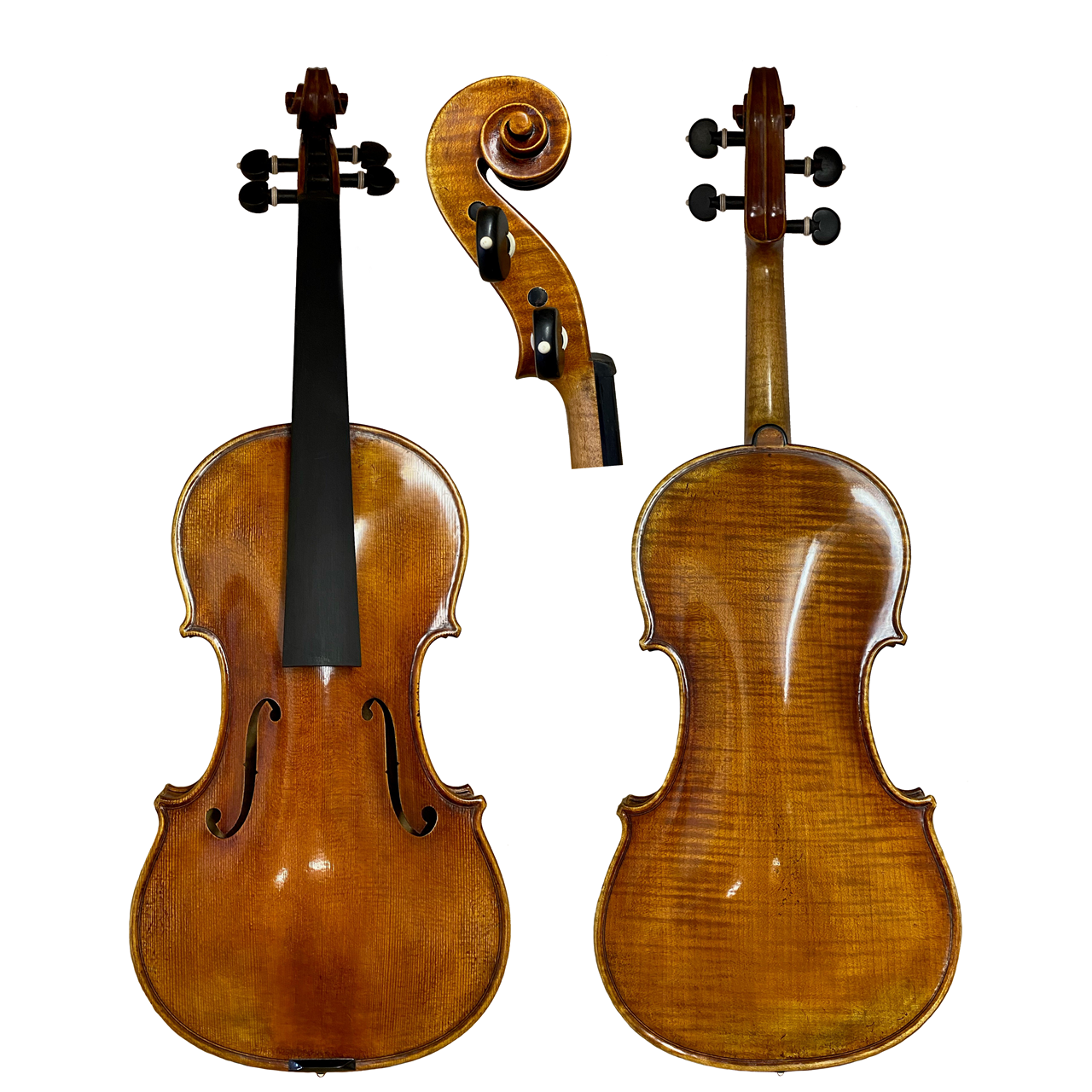 GCV Violine 4/4 Rocca EU/EU