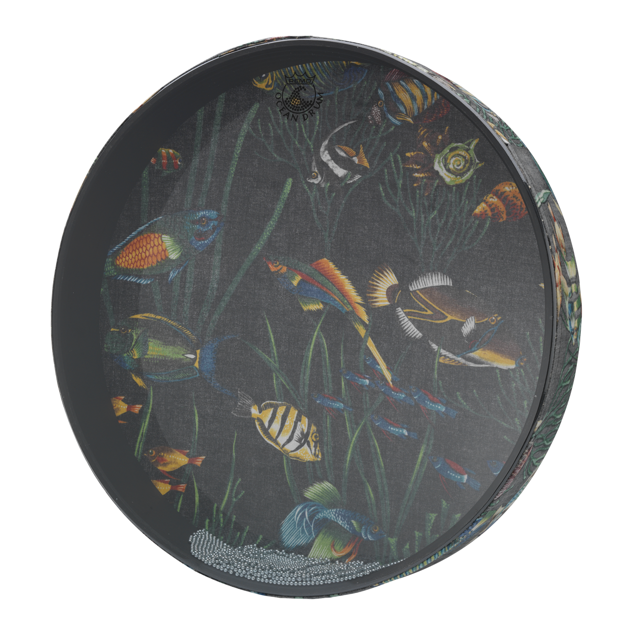 Remo ET-0212-10 Ocean Drum, 12" Fish Graphic