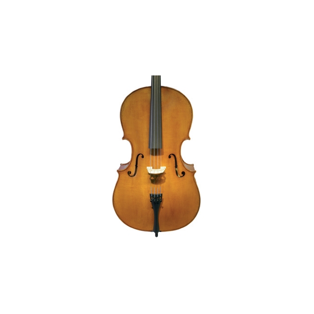 SB Stainer 1673 (EU-Decke)
