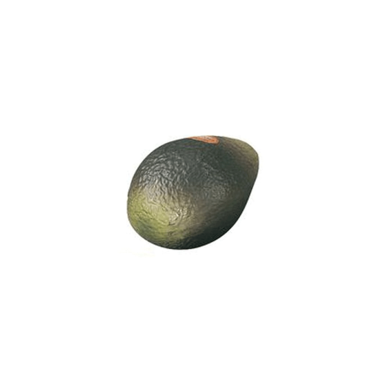 Remo Fruit Shaker Avocado AVCD