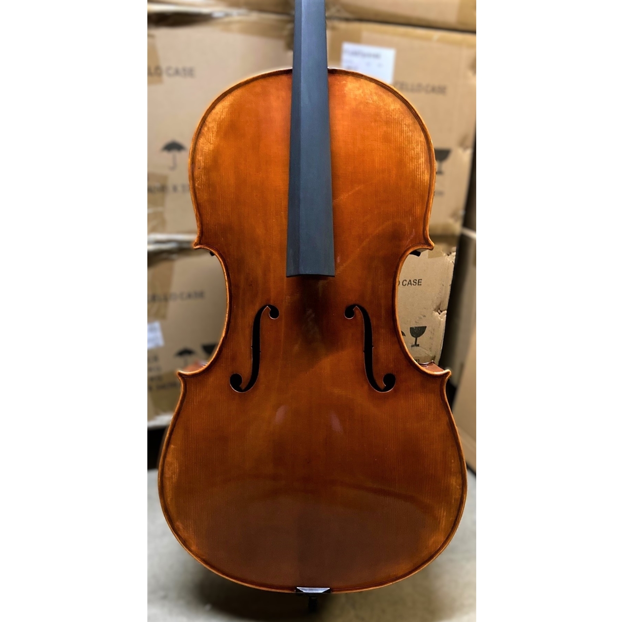 San Bernardo Cello 4/4 Venezia 1693 AA CH-Decke/Moonwood