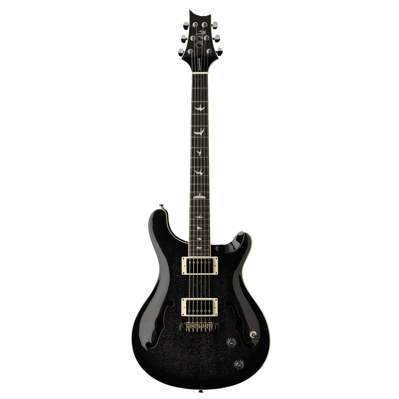 PRS SE Hollowbody Standard | Dog Hair Smokeburst
