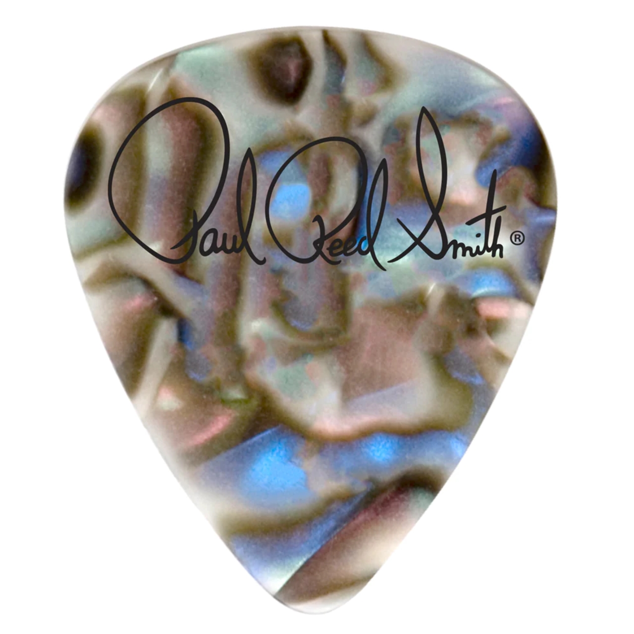 Plektrum Abalone