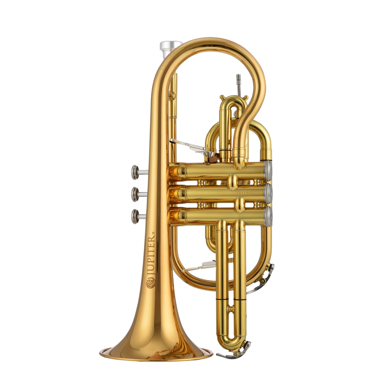 Bb-Cornet lackiert