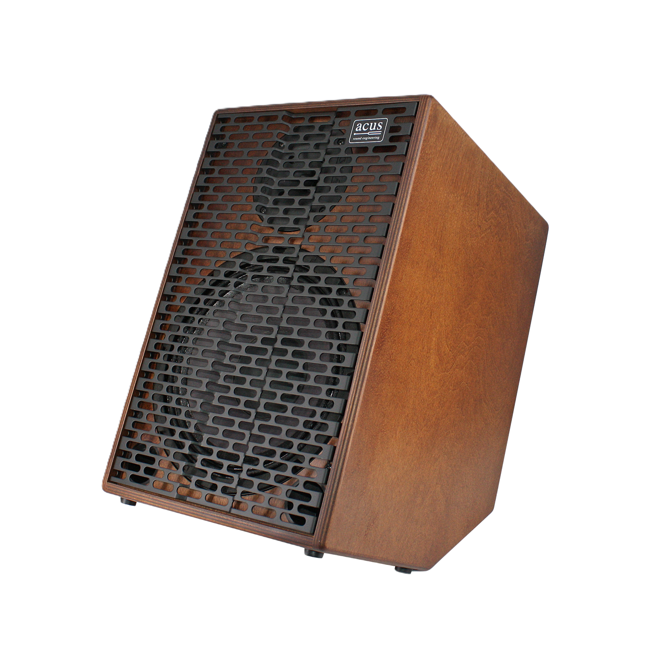 Acus Simon 10 Acoustic Amp Wood