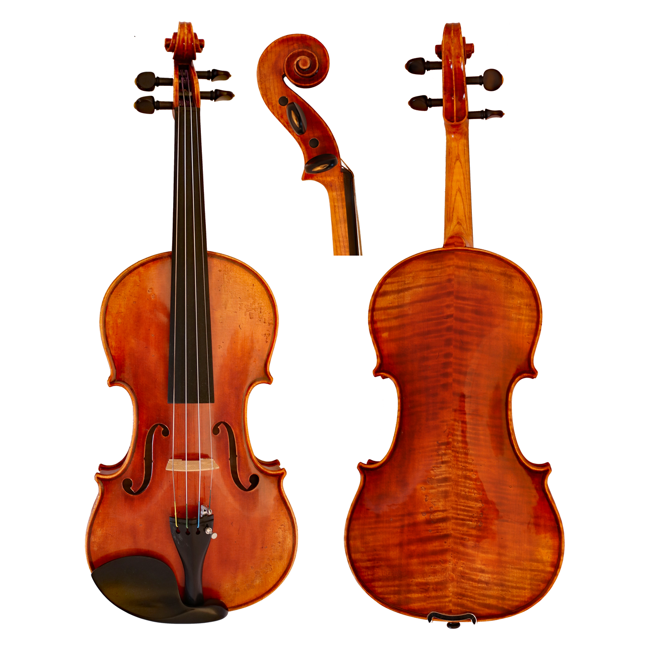 GCV Violine 4/4 Chantalle gerichtet