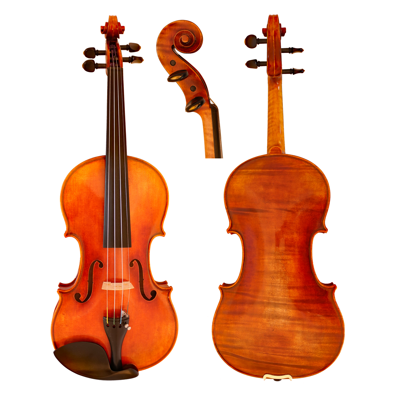 GCV Violine 4/4 Emiliani gerichtet