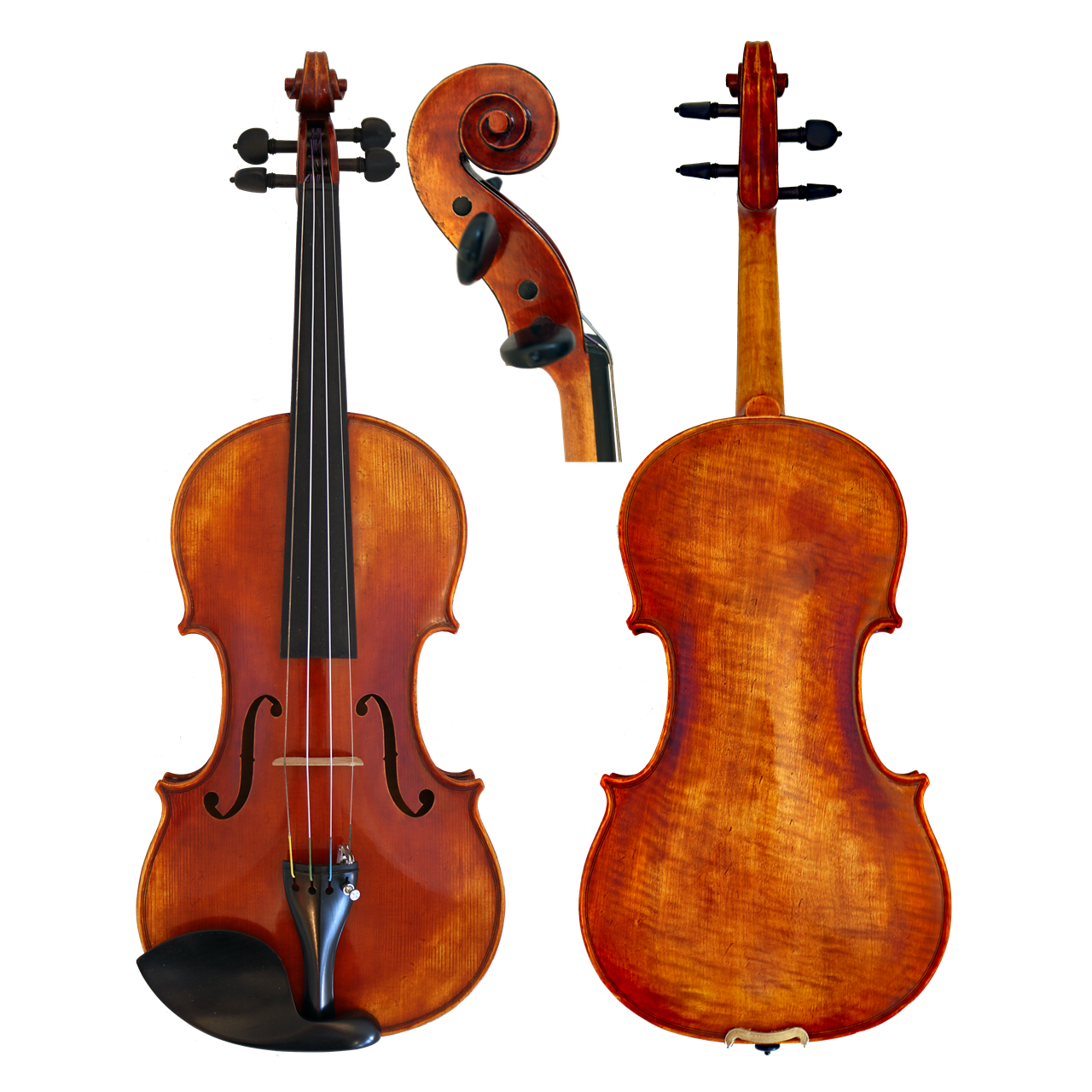 GCV Violine 4/4 Rochester gerichtet