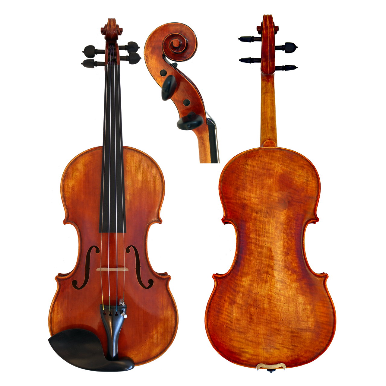 GCV Violine 4/4 EU-Decke (600ES)