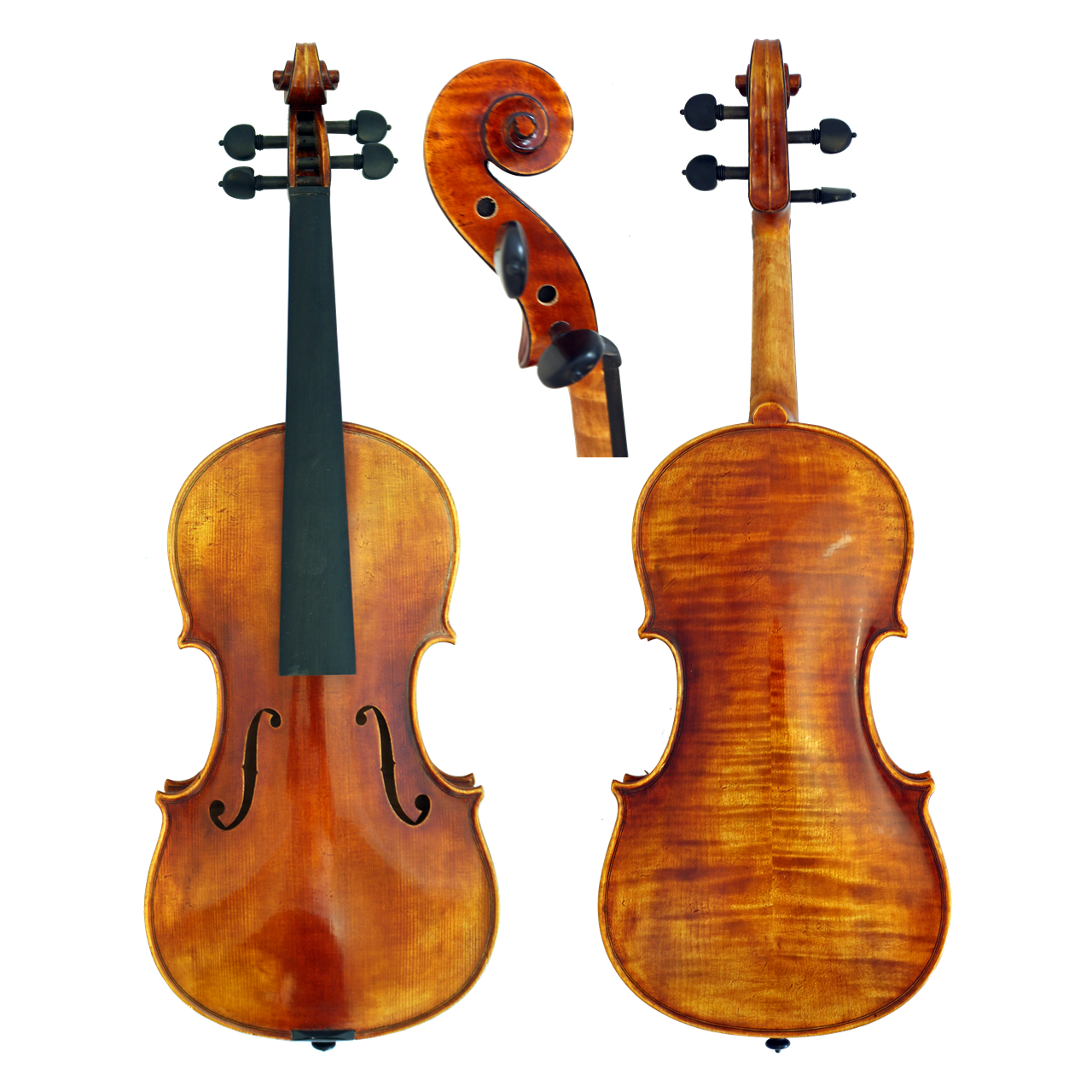 GCV Violine 4/4 EU-Decke (600A)