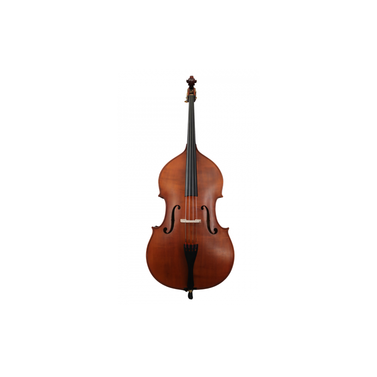 SE Bass Conservatory Model 1/8 spielfertig, massive Decke