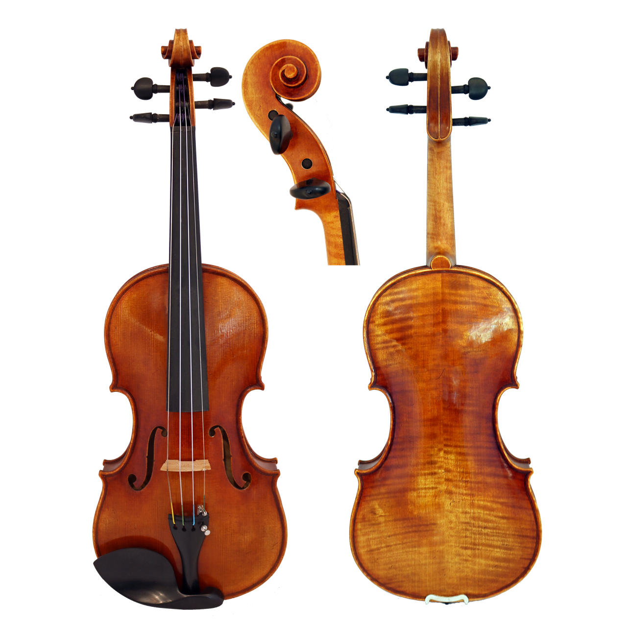 GCV Violine 4/4 EU-Decke (650A)