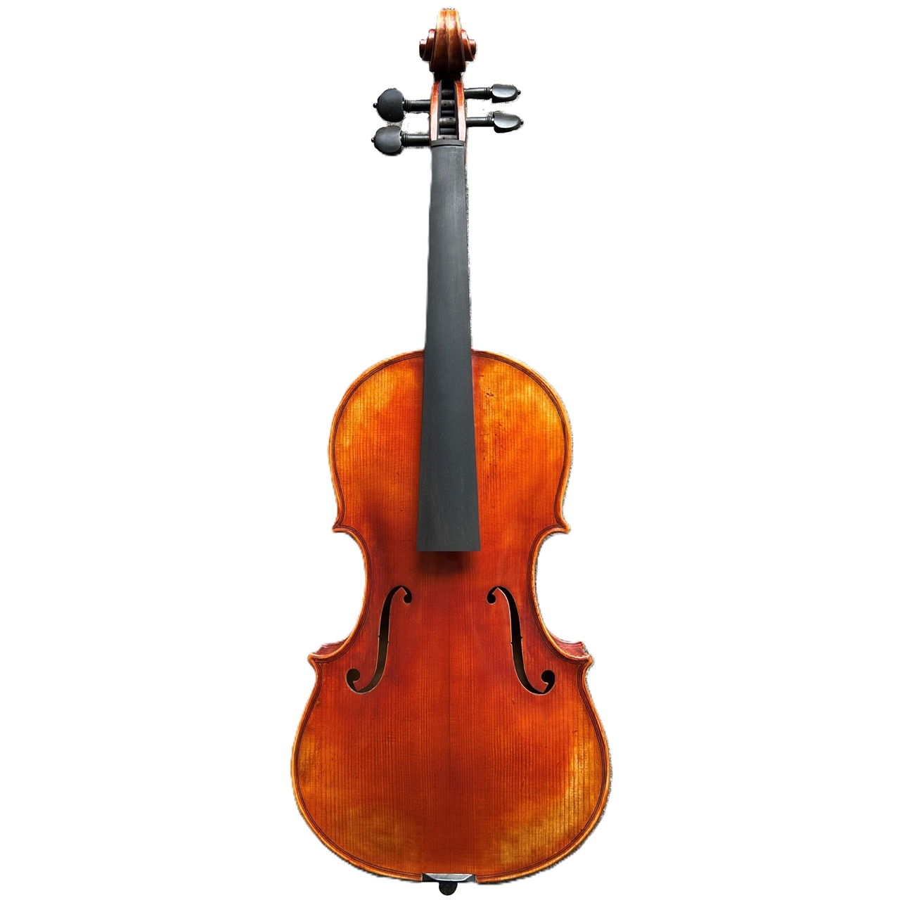San Bernardo Viola 1930 (Parmeggiani) 40.6cm/16"
