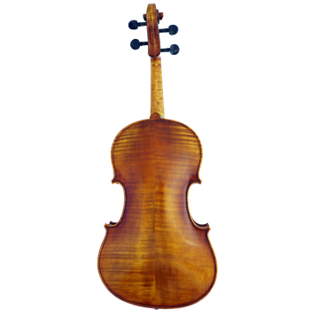 San Bernardo Violaset 28,0cm CH-Decke/Moonwood