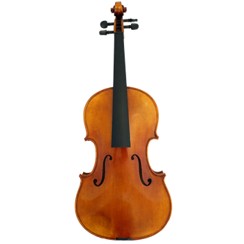 San Bernardo Violaset 38,0cm CH-Decke/Moonwood