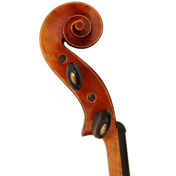 GCV Viola 39,5cm / EU-Decke AA