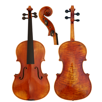GCV Viola 40,5cm / EU-Decke AA