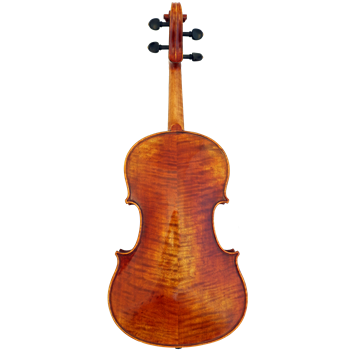 GCV Viola 40,5cm / EU-Decke AA