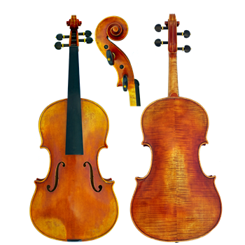 GCV Viola 38,0cm / EU-komplett AAA