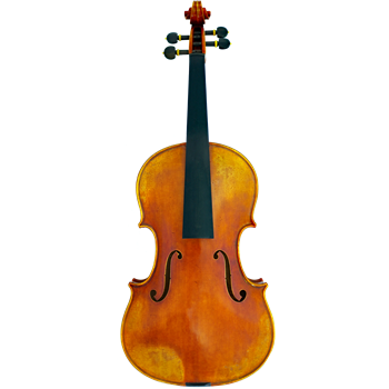 GCV Viola 40,5cm / EU-komplett AAA