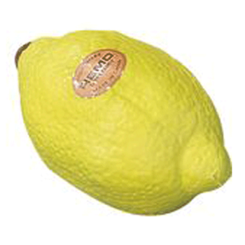 Remo Fruit Shaker Zitrone LEMN