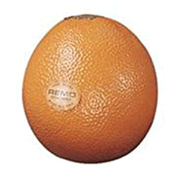 Remo Fruit Shaker Orange ORNG