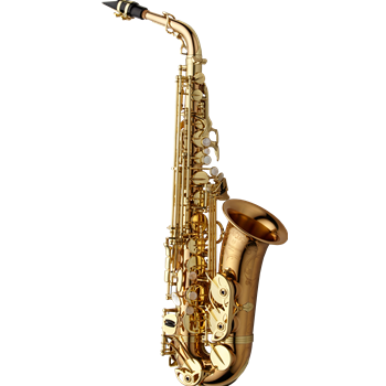 Yanagisawa Altsax A-WO20 - Elite Model (Bronze)