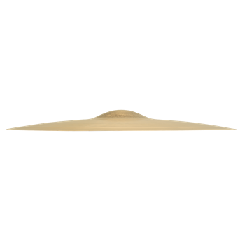 Sabian 19