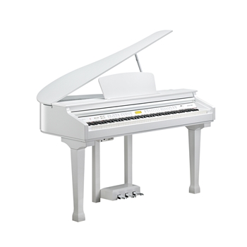 Kurzweil KAG100 | White Polished