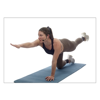 Samson AirLine XD Fitness