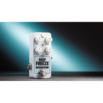 Electro-Harmonix Pico Deep Freeze