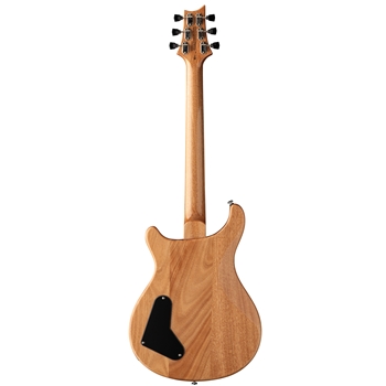 PRS SE Paul's Guitar | Turquoise
