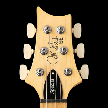 PRS SE Swamp Ash Special | Iri Blue