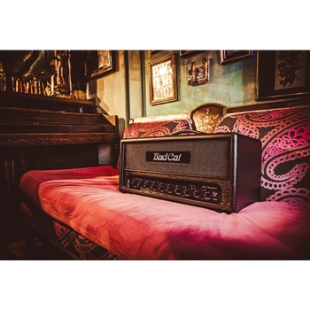 Bad Cat »Jet Black« Head