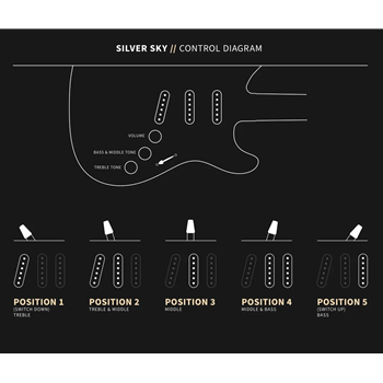 PRS Silver Sky - Faded Black Tee Satin (Rosewood)