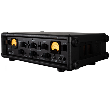 Ashdown ABM EVO V 750 Watt Bass Head - UK Custom Shop