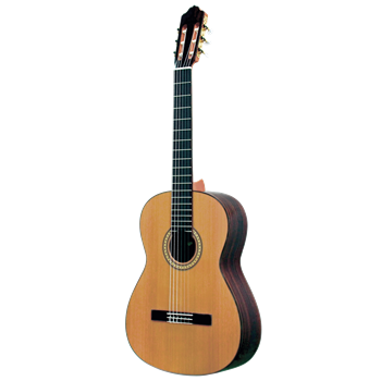 Esteve Klassikgitarre 6PS Senorita 63 cm Fichte