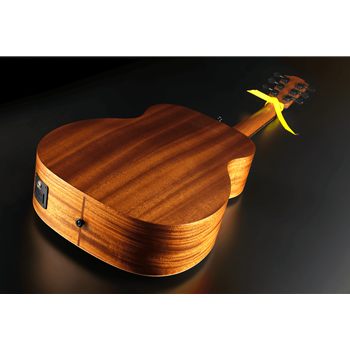 LÂG VIAN-001 Vianney Signature Travel Elektro-Akustik Gitarre