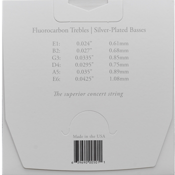 Augustine Paragon/Red | Medium/Medium