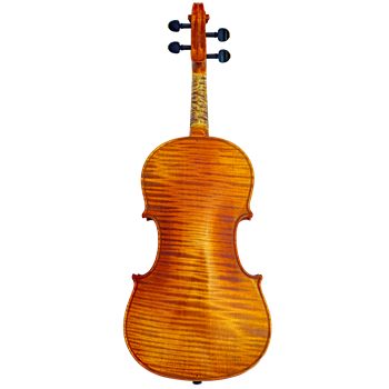 San Bernardo Violine 4/4 Torino 1831