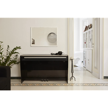 Dexibell VIVO H10 BK (black) - schwarz matt