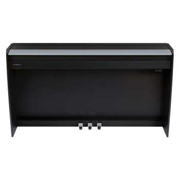 Dexibell VIVO H10 BK (black) - schwarz matt