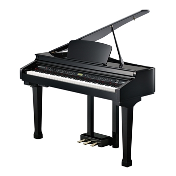 Kurzweil KAG100 | Black Polished