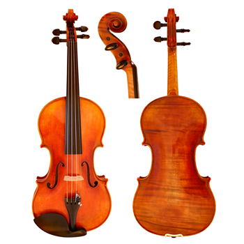 GCV Violine 4/4 EU-Decke (600ES)