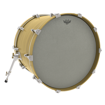 Remo RA-1020-SS Renaissance Ambassador, 20