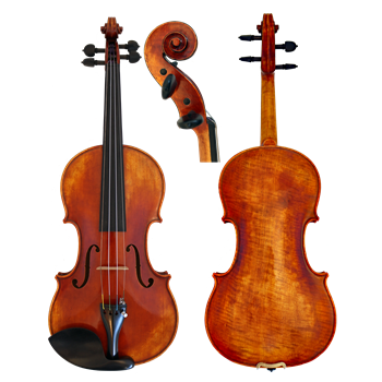 GCV Violine 4/4 EU-Decke (600ES)